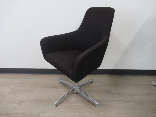 Elroy Swivel Lounge Chair